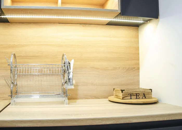 公寓 Engadin's Center 塞拉耶佛