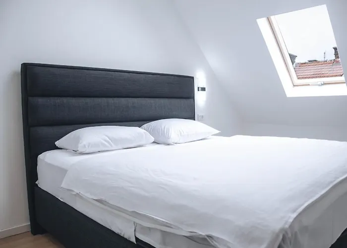 公寓 Engadin's Center